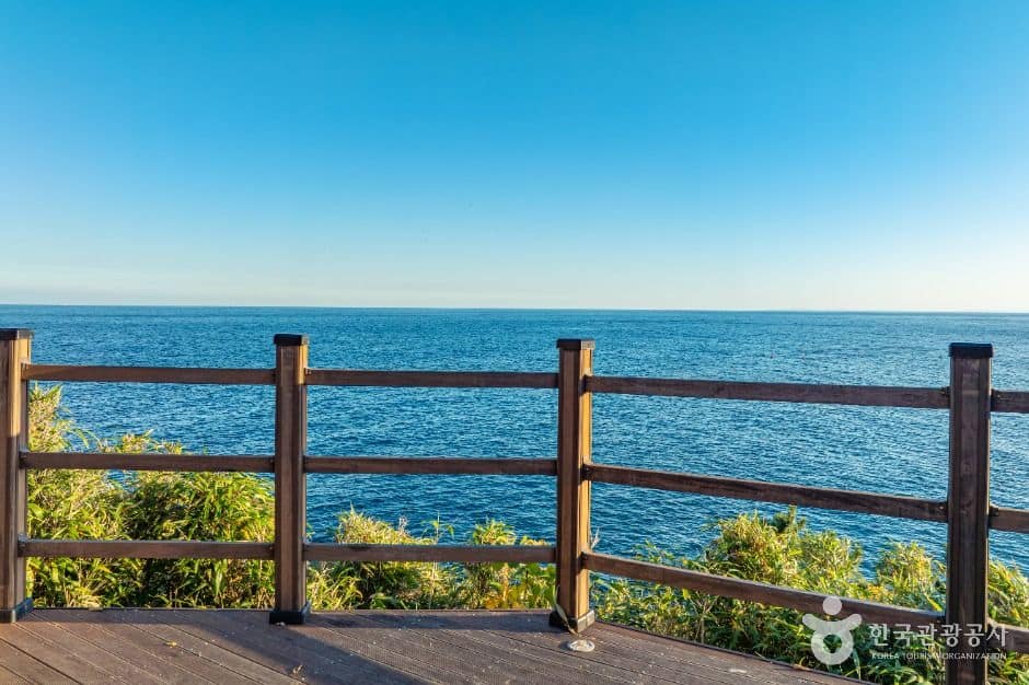 영덕_죽도산전망대 (8)