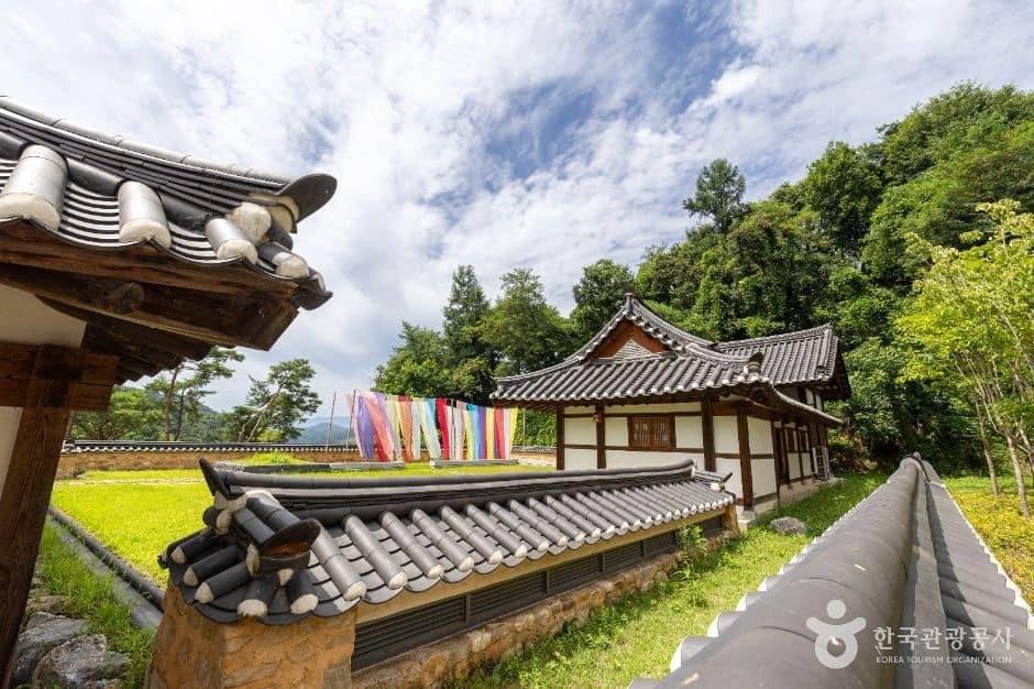 선비세상