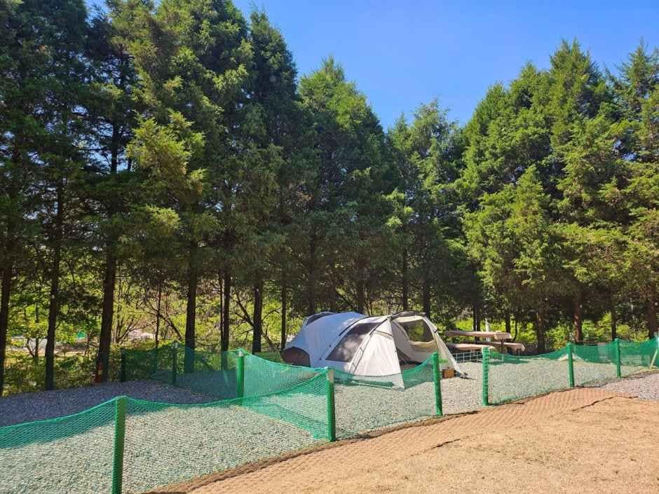 양주_양주 감악산 캠핑장 (1).jpg