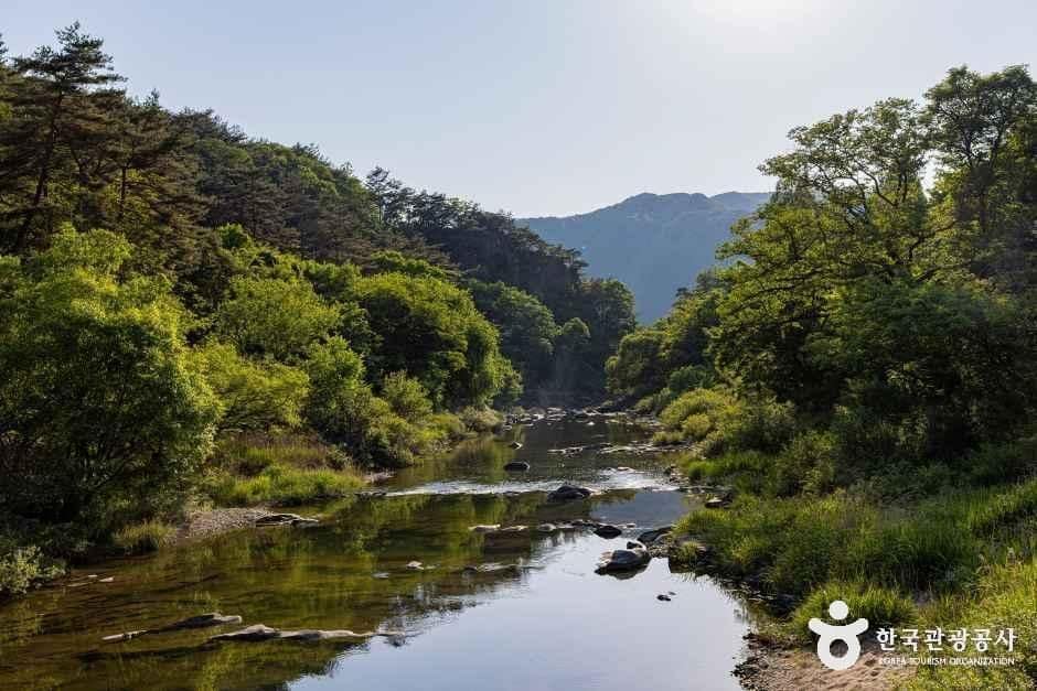 제천_모드니애캠핑장펜션 (6).jpg