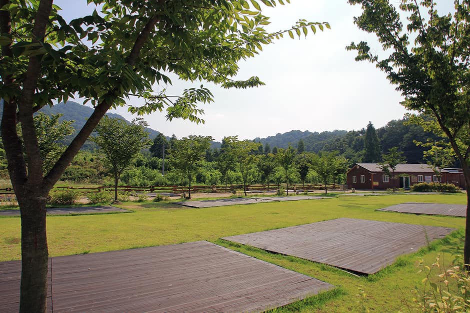 연산황산벌오토캠핑장_전경2