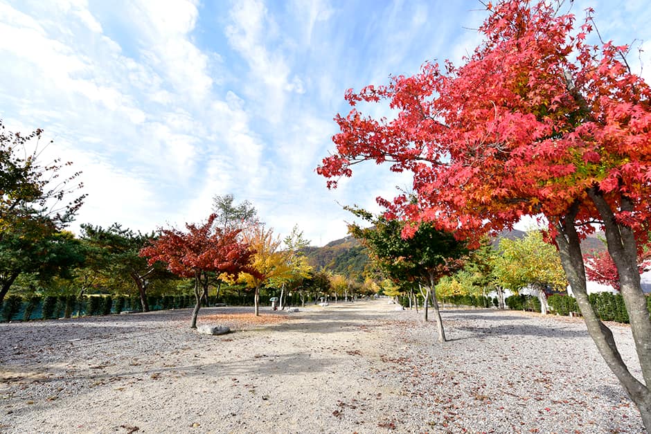 솔바람캠핑장_전경1