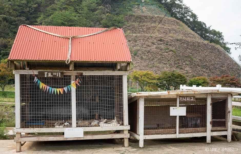 경남_남해_남해양떼목장 양마르뜨언덕 (2)