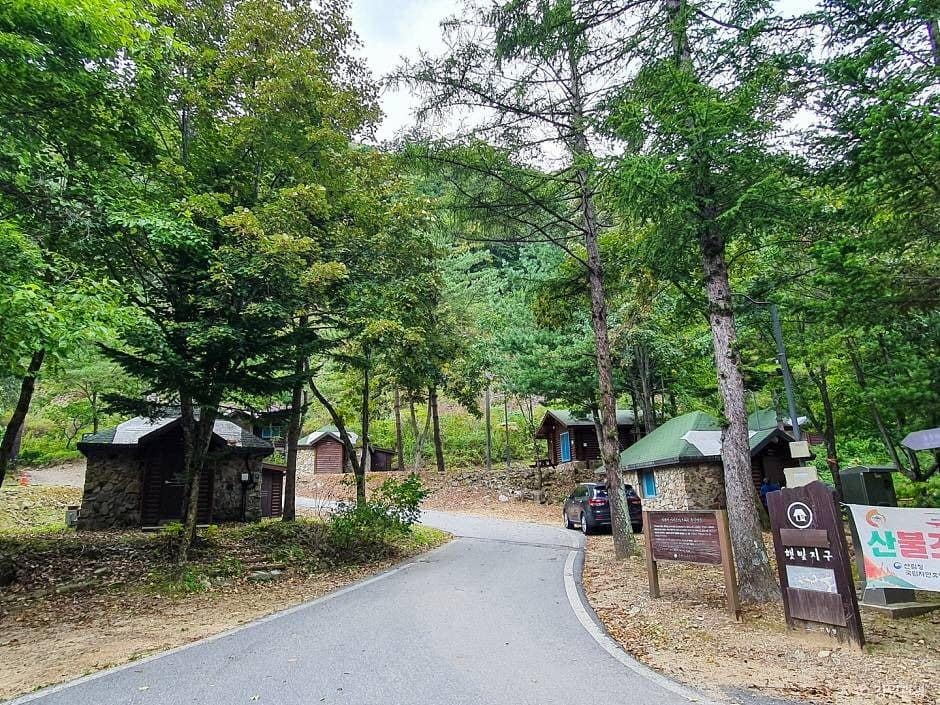 홍천_국립 삼봉자연휴양림 (5)