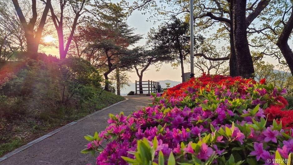 양양_현산공원 (8)