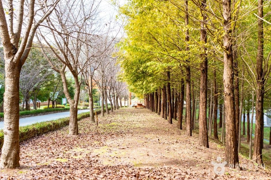 천안_한민족역사문화공원 (6)