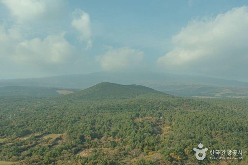 서귀포_미악산 (5)