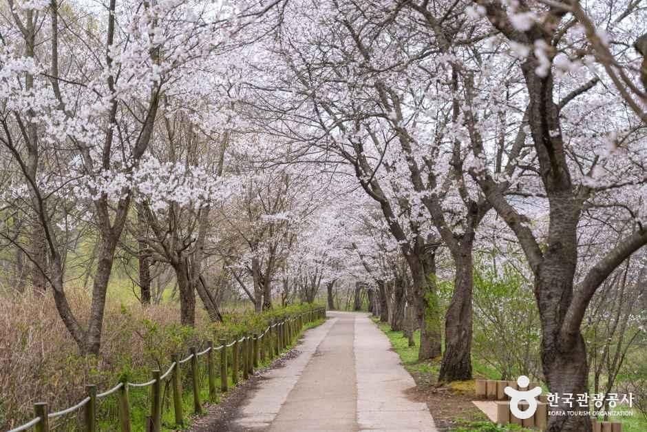 인천_남동구_인천대공원_외부_5.jpg