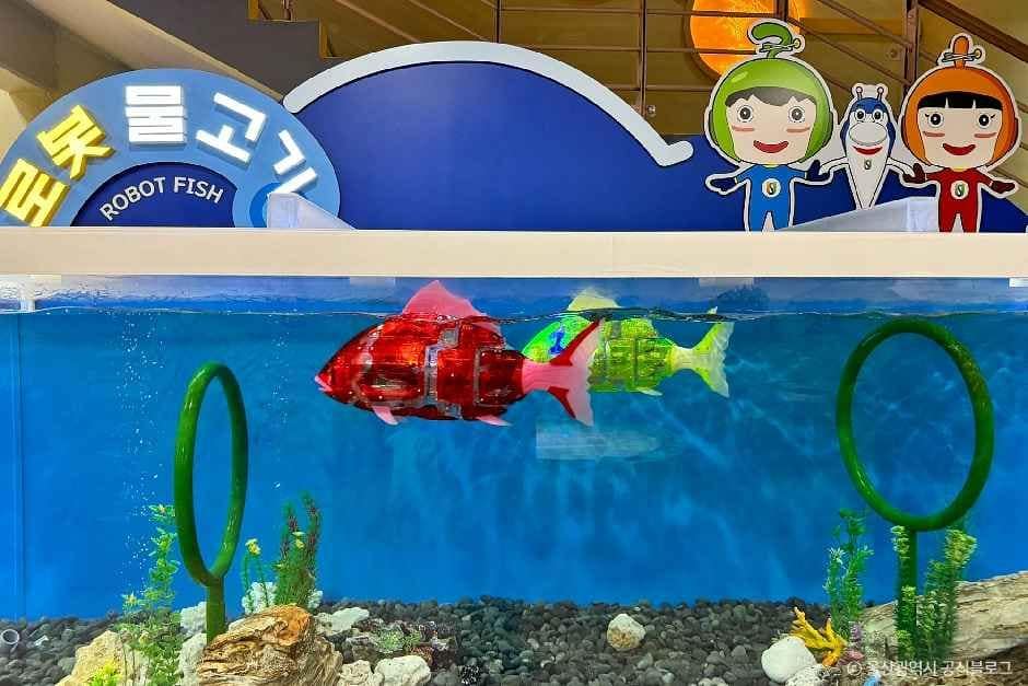 울산_울산과학관 (6).jpg
