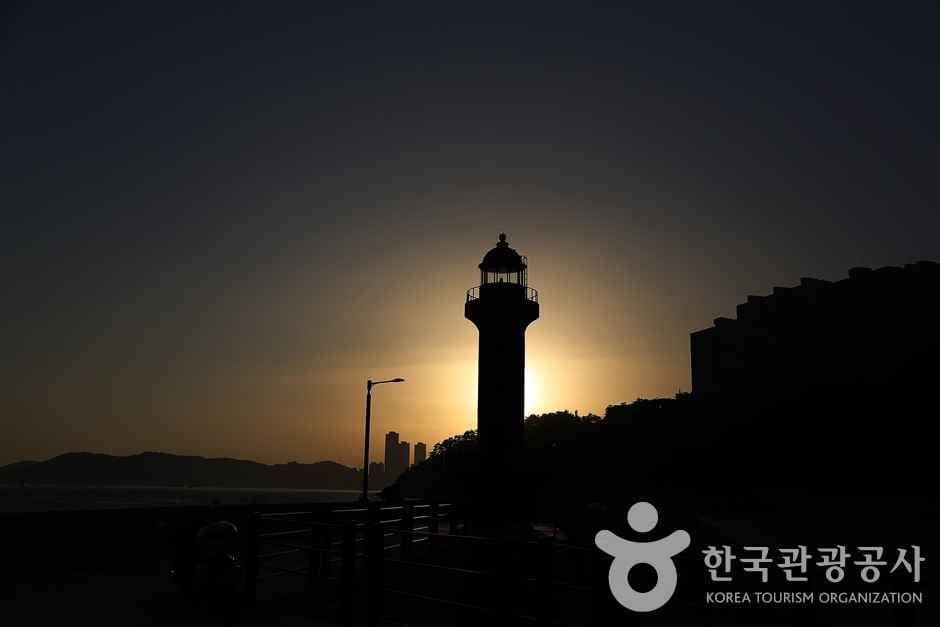 중리항 방파제 등대 (17)