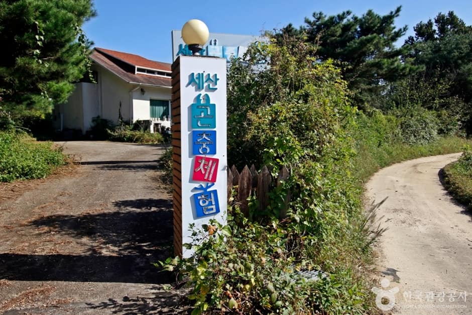 충북_옥천_세산곤충체험농장 (2)