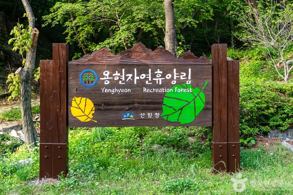 국립용현자연휴양림 사진 2