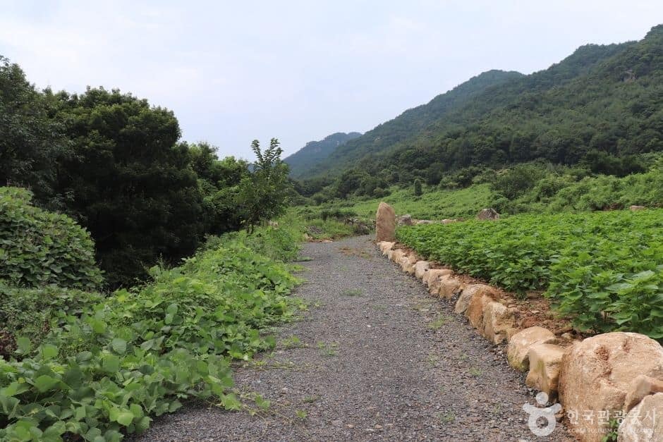 악휘봉 (4)_e