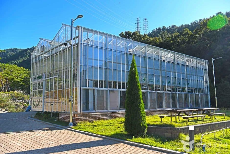 보은산V랜드 (7)