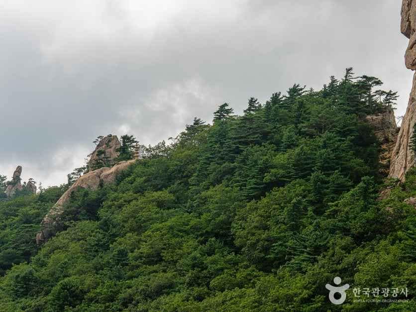 인제 봉정암