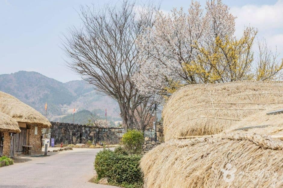 순천 낙안읍성 (8)