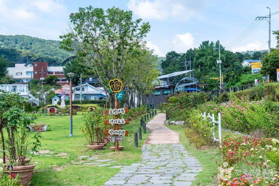 동구_대청호자연수변공원 (7)