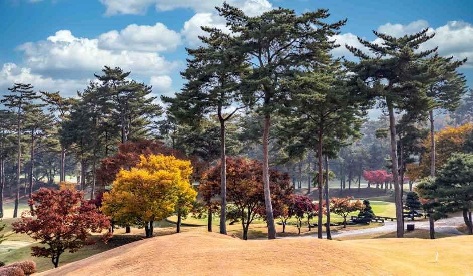 여주_솔모로 컨트리클럽 (5).jpg