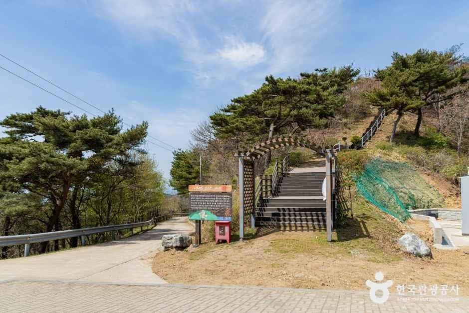 인천_부아산전망대 (1).jpg