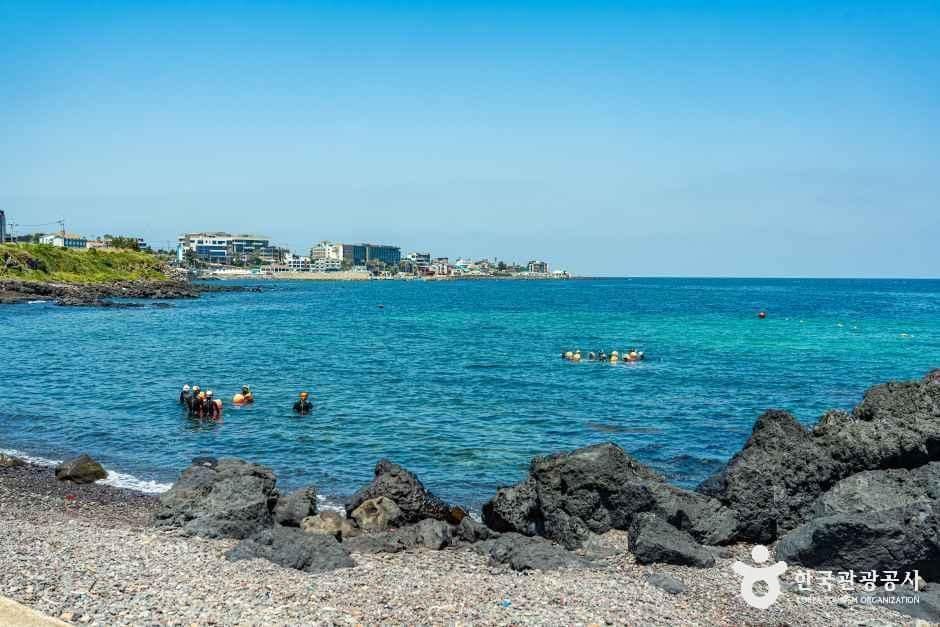 제주_도시해녀 (4).jpg