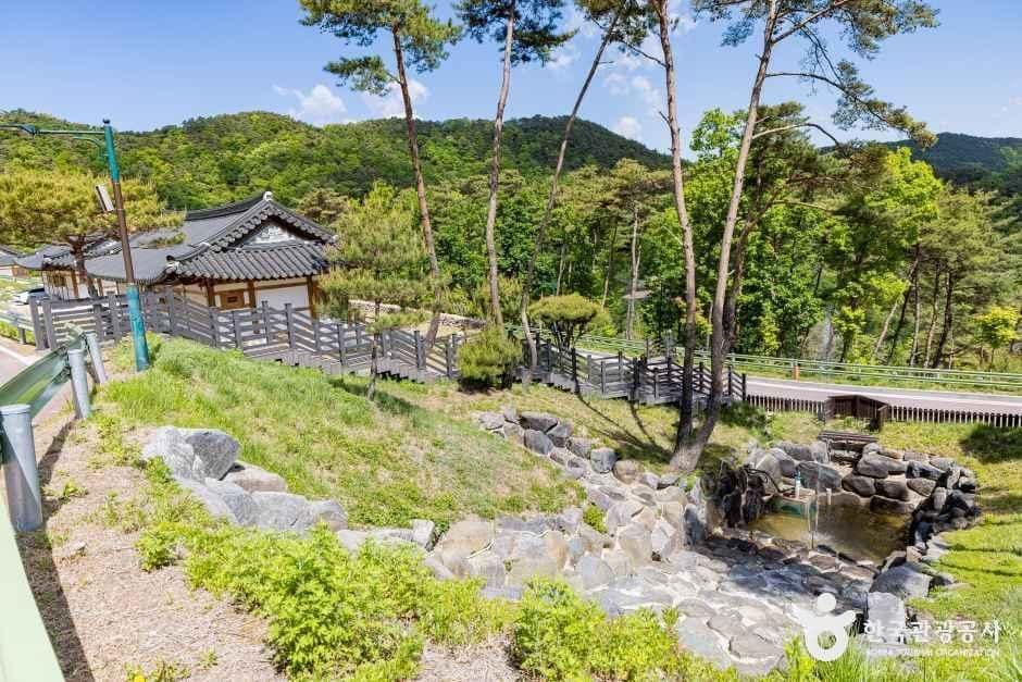 보은_속리산 숲체험휴양마을 (6).jpg