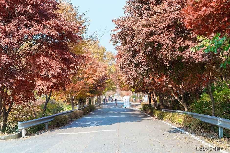 논산_대둔산도립공원(논산) (6).jpg