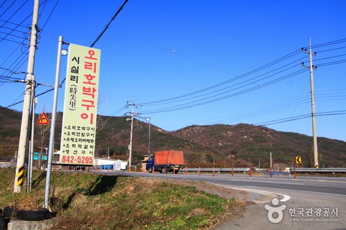 경기_양주_시실리05