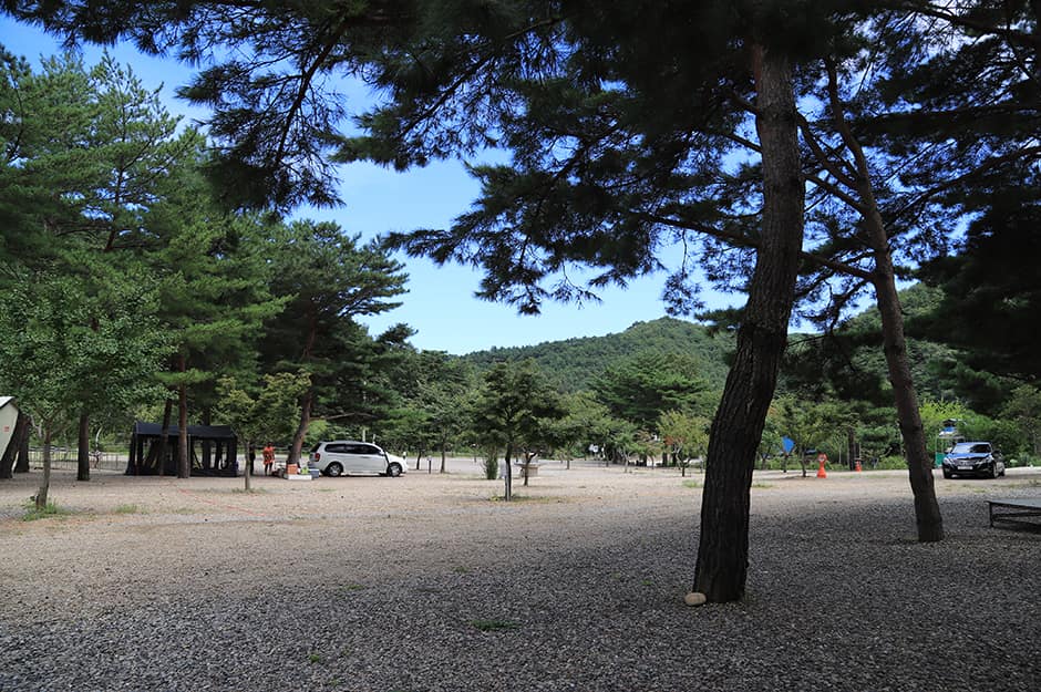 엘림캠핑장_전경1