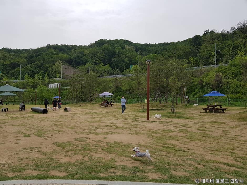 경기도_안양시_삼막애견공원_공원내부