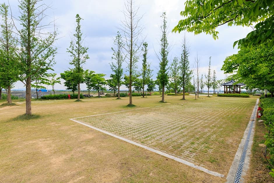 충남_아산시_선장포협동조합_캠핑장_12
