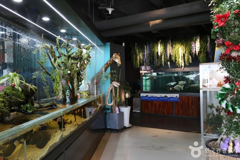 N00372_경기_김포_몬스터리움 (3)