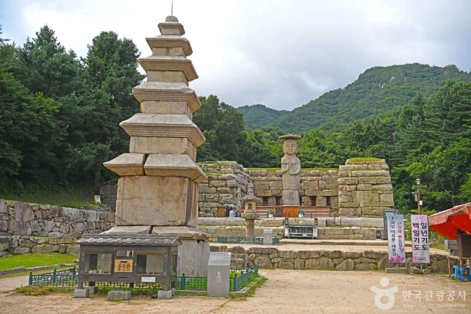 충주 미륵리 석조여래입상 (6)