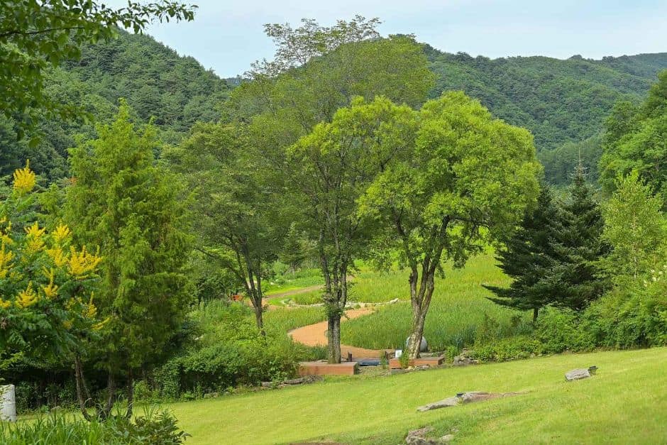 국립한국자생식물원_100회 마라톤 공원