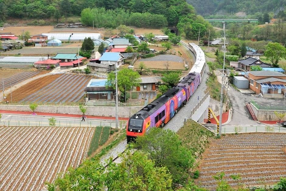 정선_정선아리랑열차(A-train) (1)