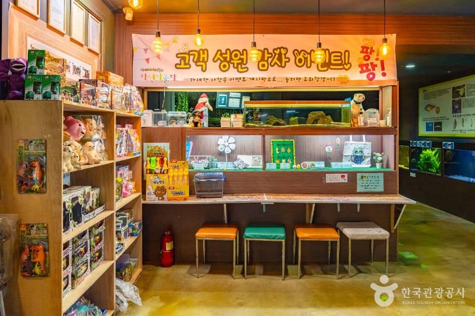 강릉_자연아놀자 체험학습박물관 (1)