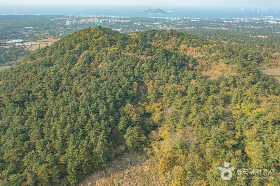 제주_느지리오름 (5)