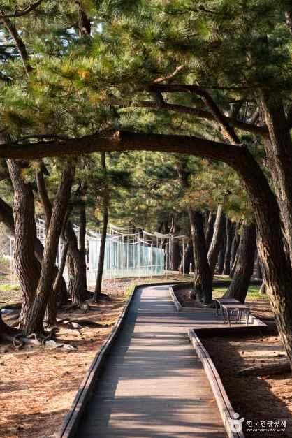 경기_화성_서해안 황금해안길_외부6.jpg
