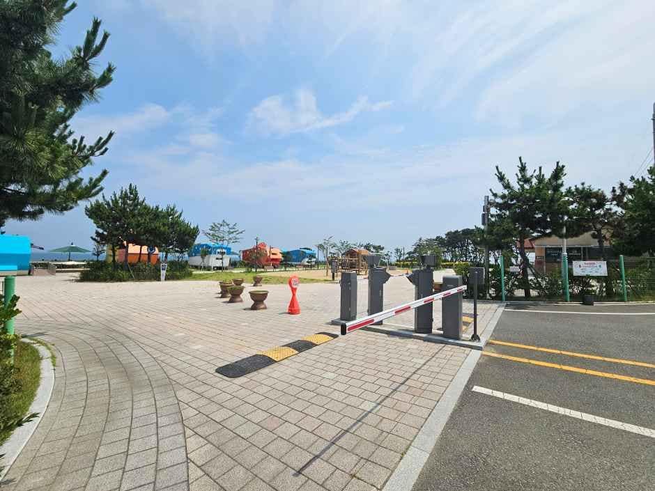울산_강동오토캠핑장 (8).jpg