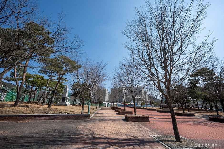 음성_금왕생활체육공원 (4).jpg