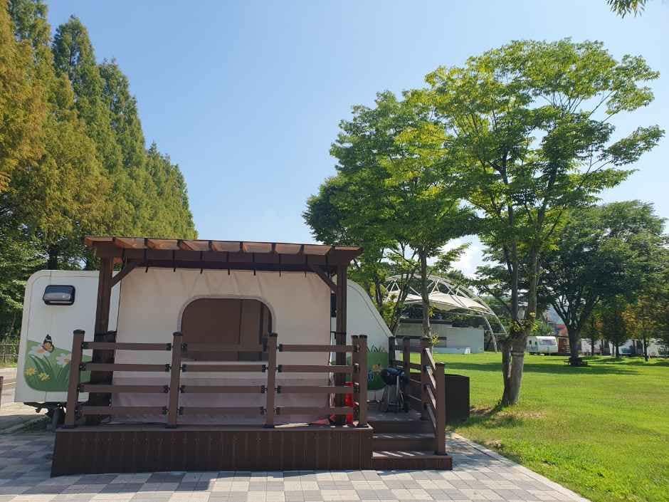 파주_공릉관광지 캠핑장 (1).jpg