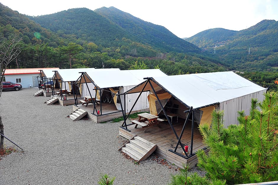 대충캠핑장 전경