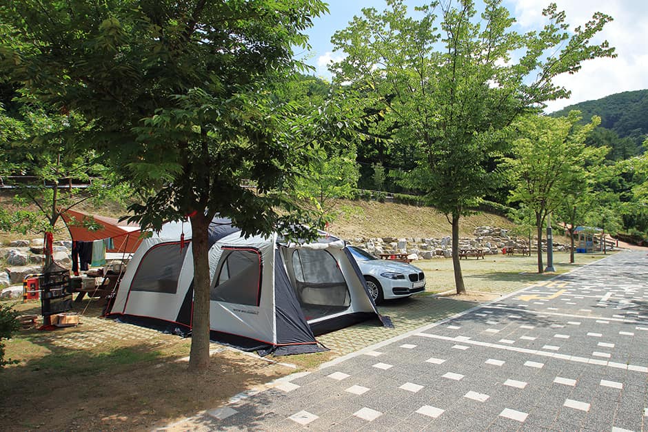 좌구산오토캠핑장_캠핑2