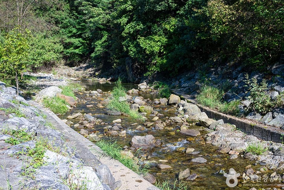 A01049_경기_양주_장흥관광지_e (3)