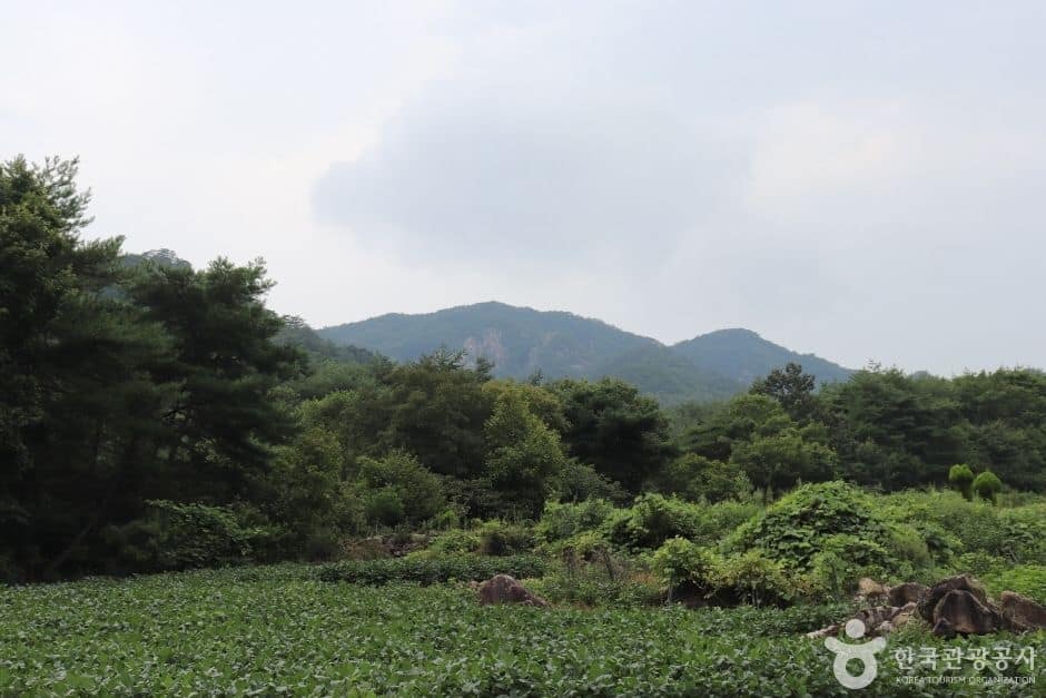 악휘봉 (2)_e