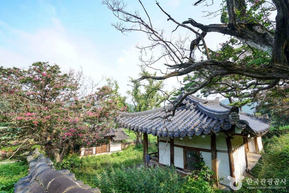의양서원 (7)