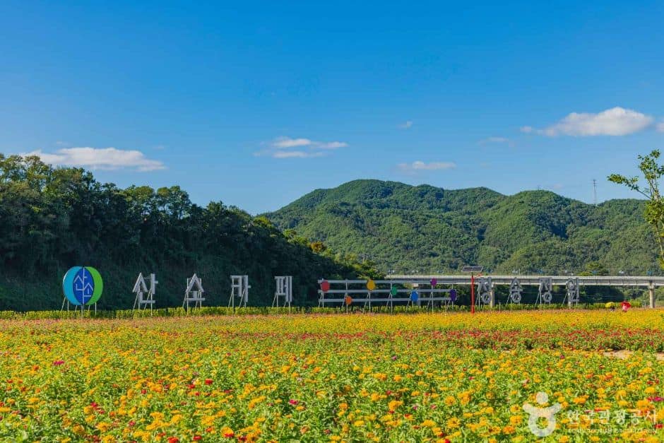 산소카페 청송정원 (8)