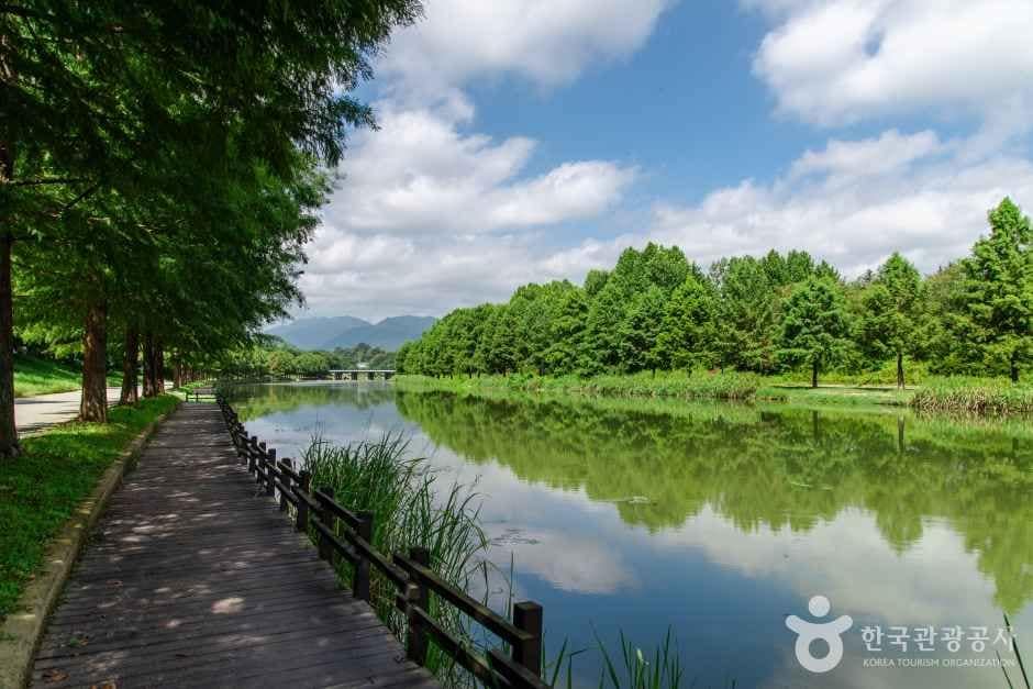 관방제림 (4)