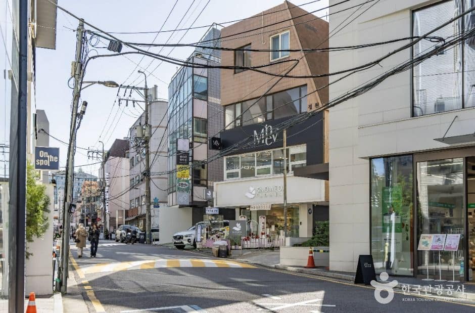 서울_신사동 가로수길 (1)
