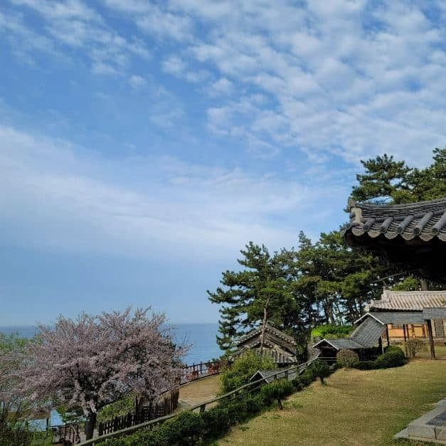 보령_상화원 (8)