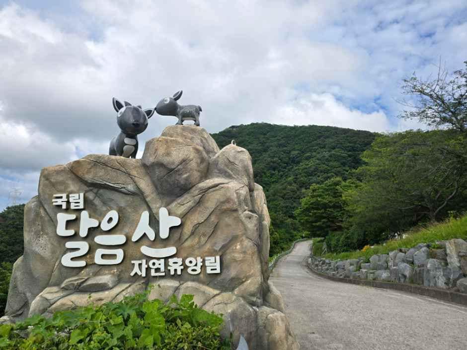 부산_국립달음산자연휴양림 (1).jpg